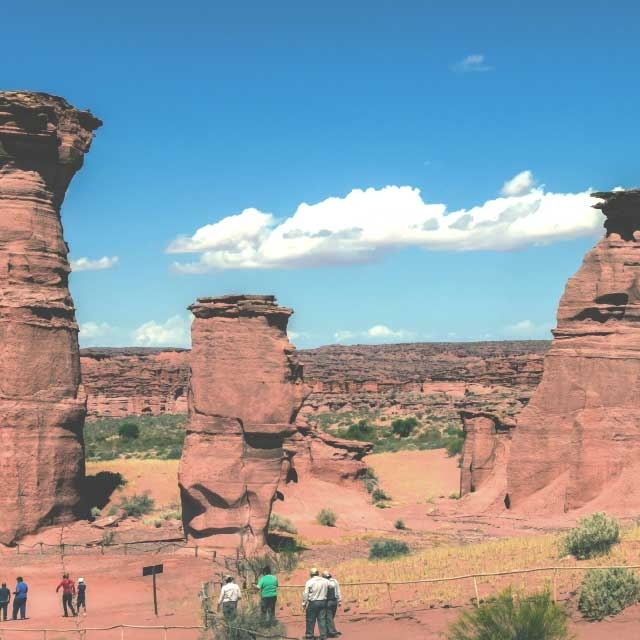 VALLE DE LA LUNA Y TALAMPAYA 